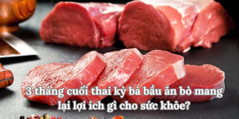 ăn bò