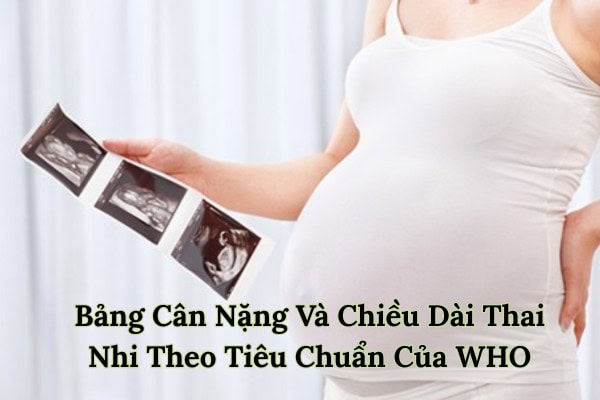 Bảng