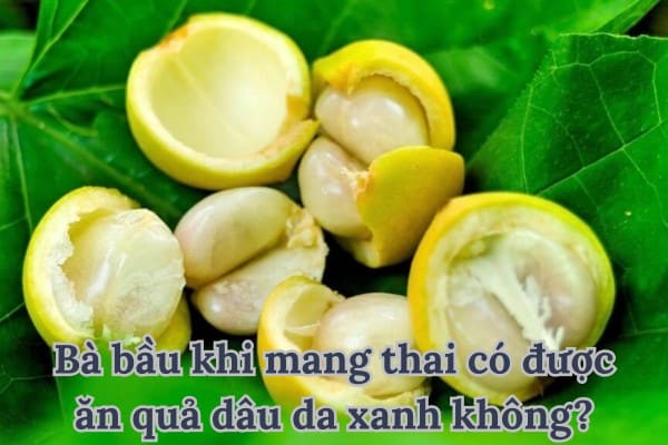 Bầu