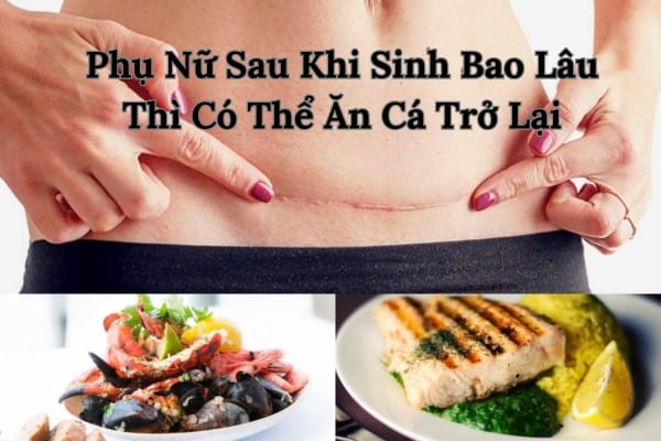 Cá
