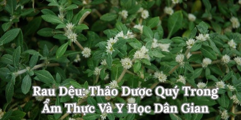 Dệu