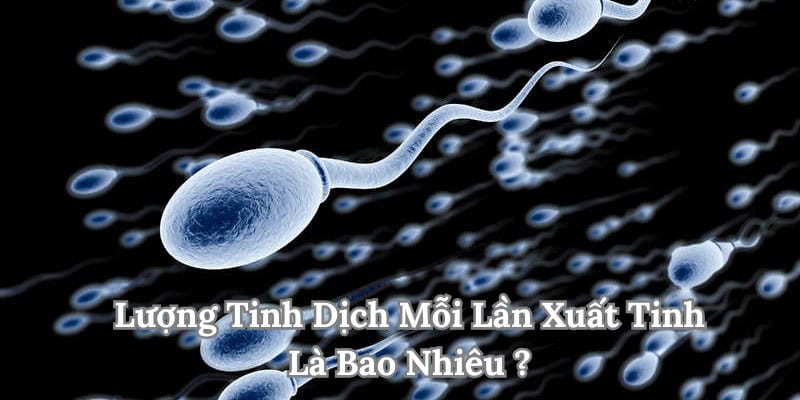 Dịch