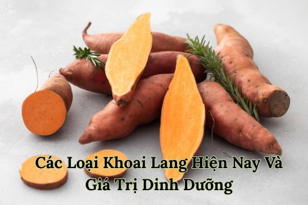 Khoai lang