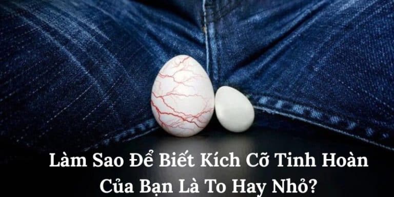 Kích thước