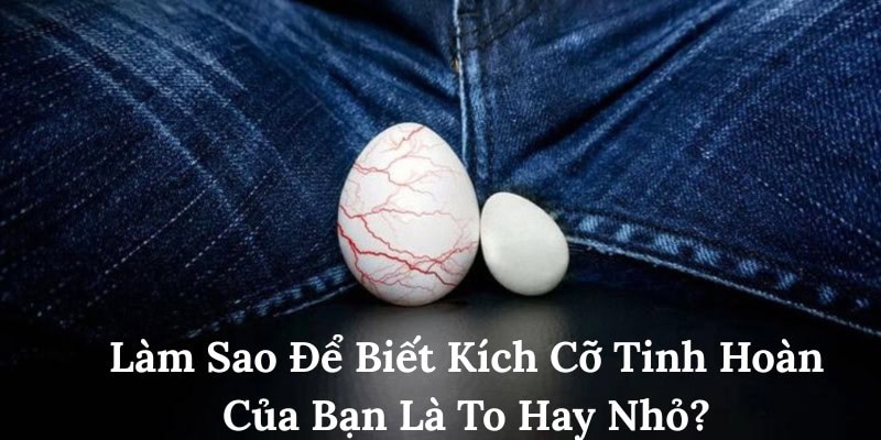 Kích thước