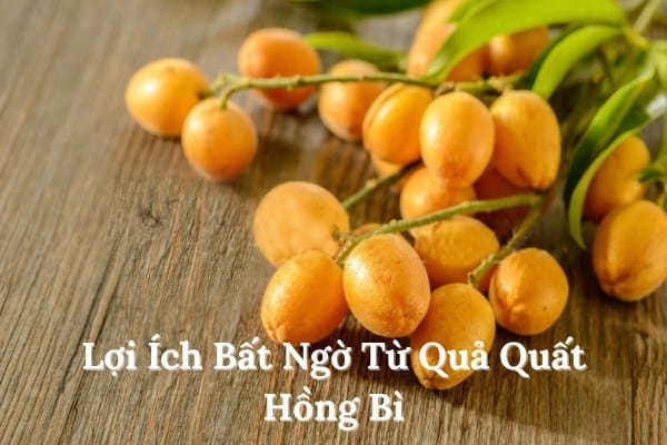 Lợi