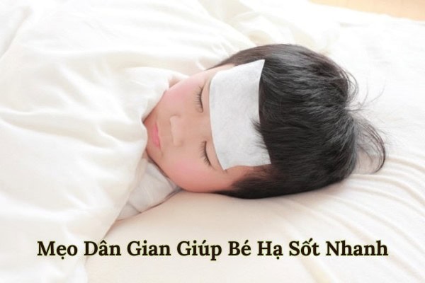 Mẹo