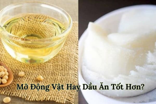 Mỡ