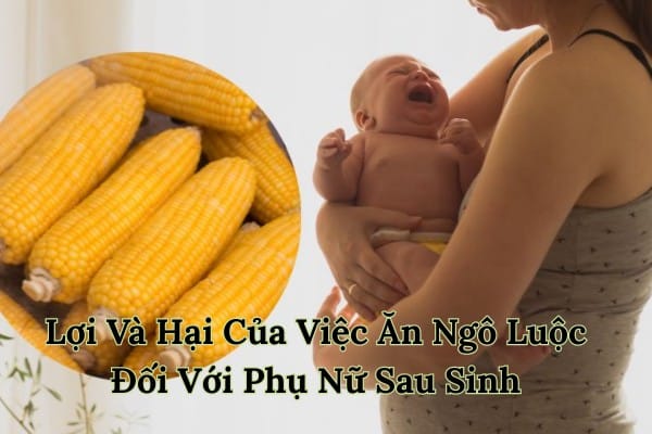 Ngô