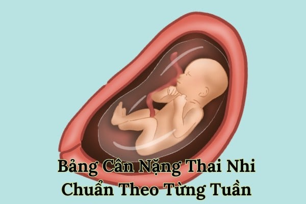 Nhi