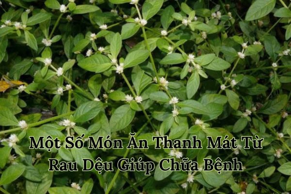 Số