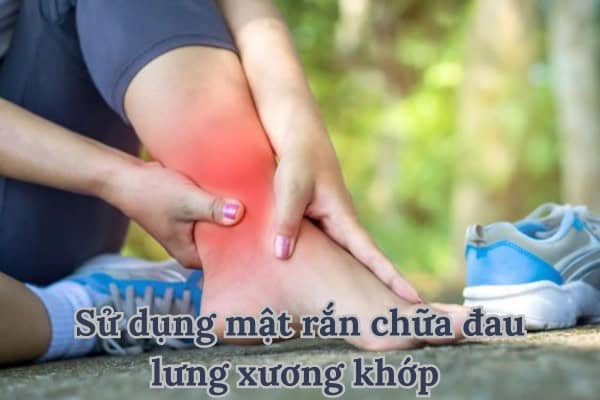 Sử