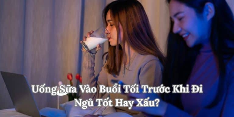 Sữa