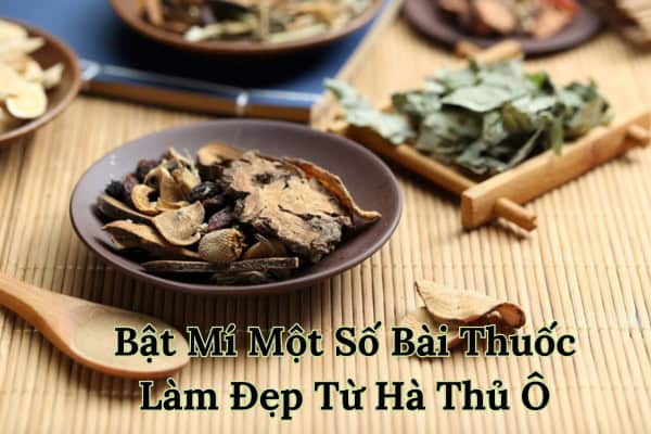 Thủ ô