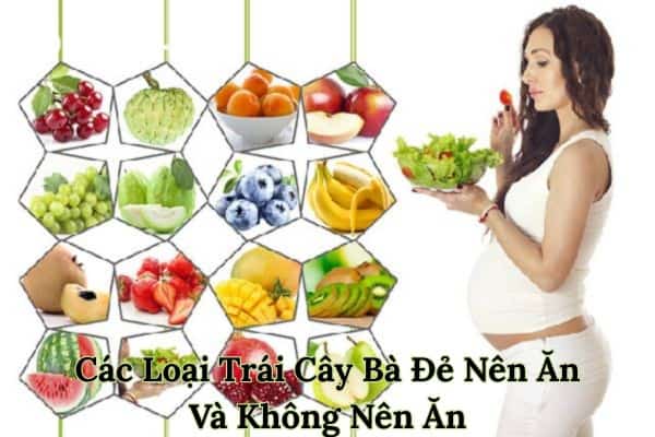 Trái cây