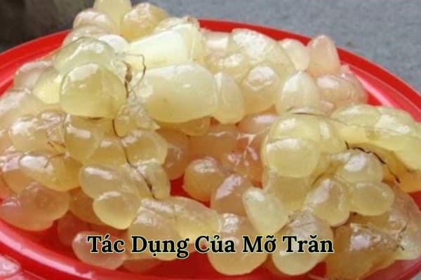 Trăn