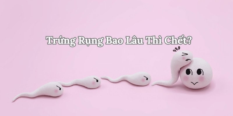 Trứng rụng