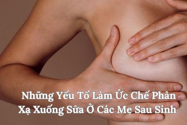 ức