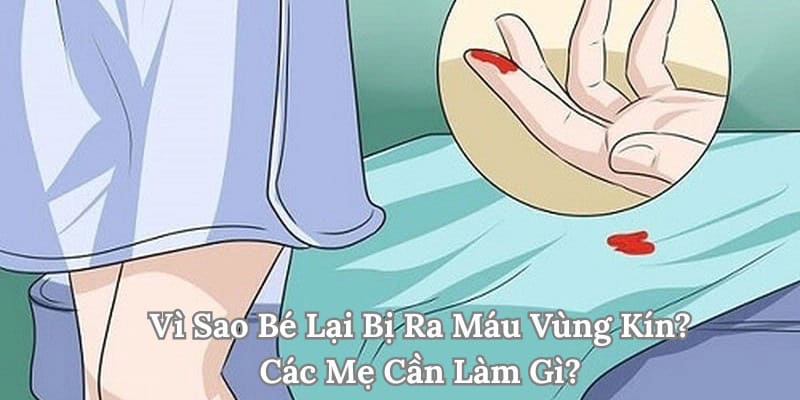 Vùng kín