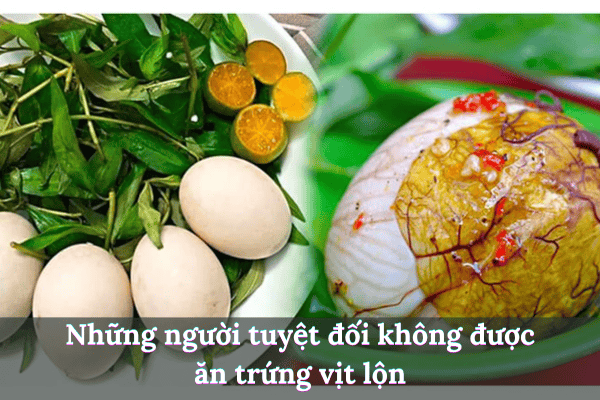 Thêm tiêu đề (19)