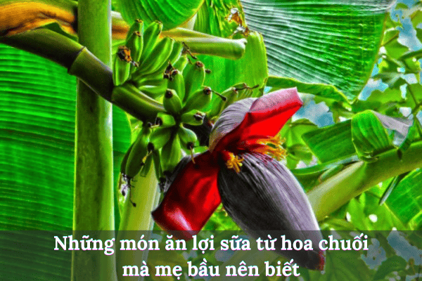 Thêm tiêu đề 2025 08 04t170505.377