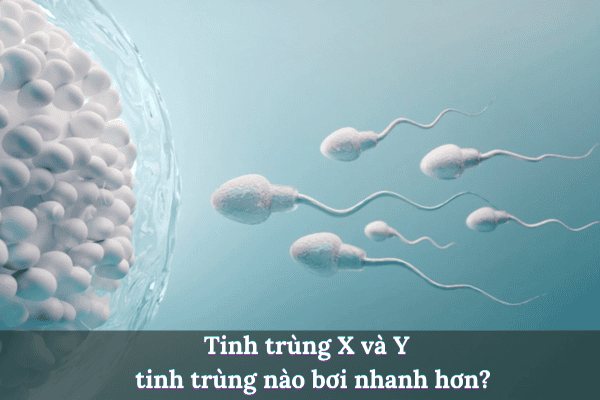 Thêm tiêu đề 2025 08 04t191522.418