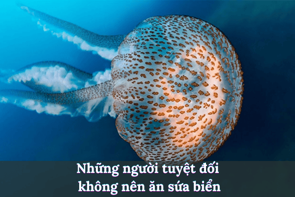 Thêm tiêu đề 2025 08 04t200238.456