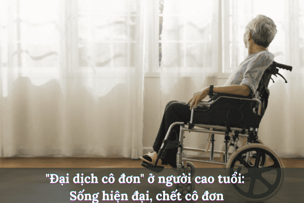 Thêm tiêu đề 2025 08 04t203112.417