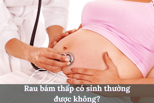 Thêm tiêu đề 2025 08 04t205158.453