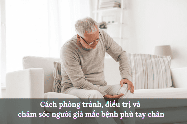 Thêm tiêu đề 2025 08 04t210727.447