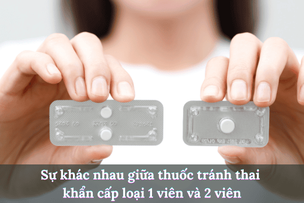 Thêm tiêu đề 2025 08 04t211124.802