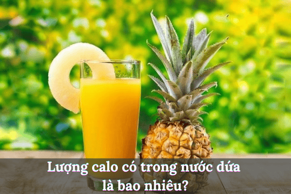 Thêm tiêu đề 2025 08 04t211623.583