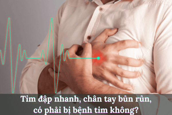 Thêm tiêu đề 2025 08 04t211812.387