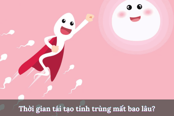 Thêm tiêu đề (8)