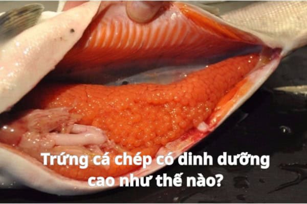Cá