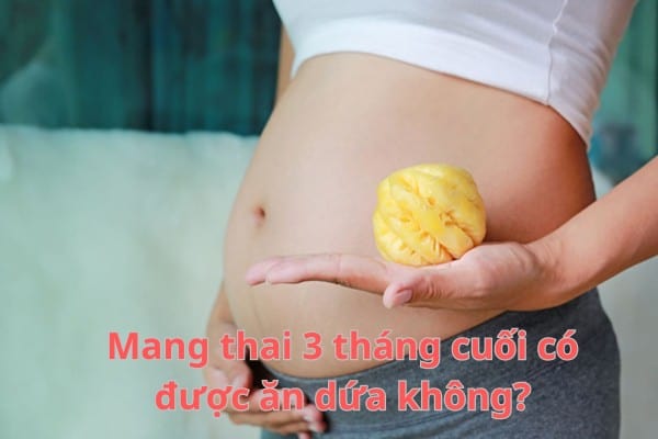 Dứa