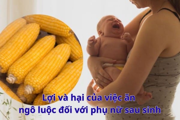 Ngô