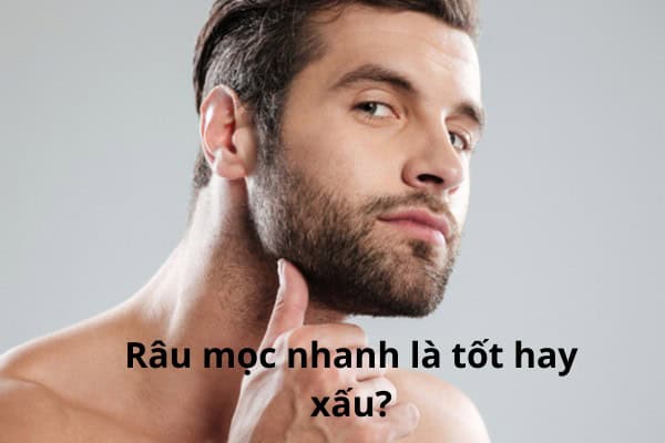 Râu