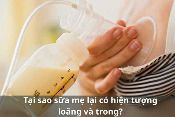 Sữa