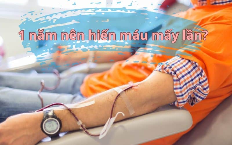 1 năm nên hiến máu mấy lần