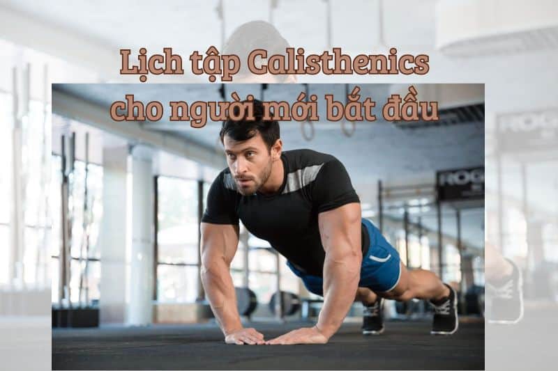 Lịch tập Calisthenics cho người mới bắt đầu