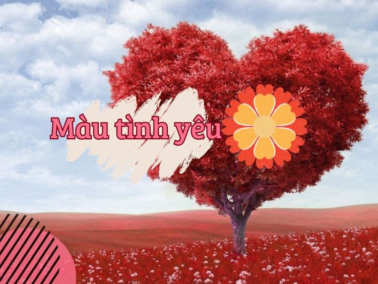 Màu tình yêu là màu gì